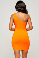 The "Sasha" Dress